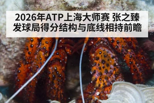2026年ATP上海大师赛 张之臻发球局得分结构与底线相持前瞻